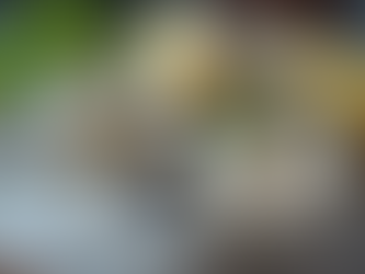 Fresh Shucked Oysters Delivered to You: The Ultimate Oyster Home Delivery Experience