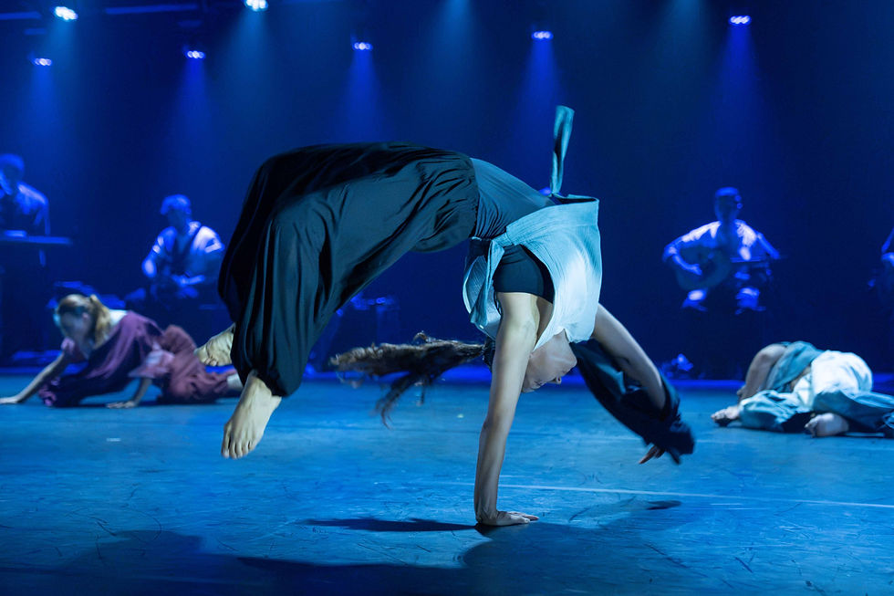 DENDEN KARADENIZ, ZERO DANCE THEATRE EN HET AAO