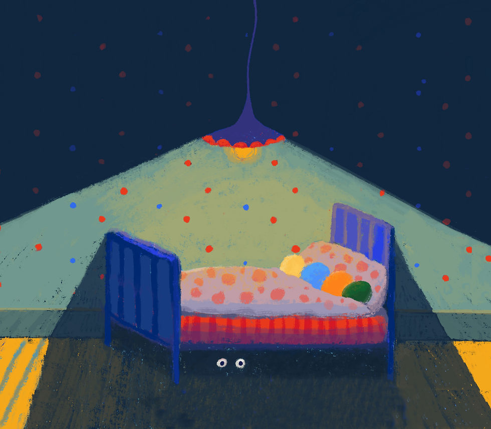 JANNE SCHRA & DE VOGELS