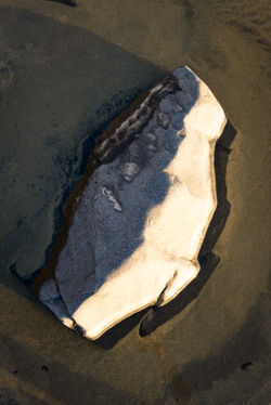 Sunset Rock