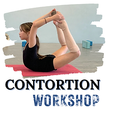 Contortion Workshop.png