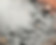 IMG_8792(1).JPEG