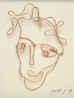 Smiling Wire by Arik Afek