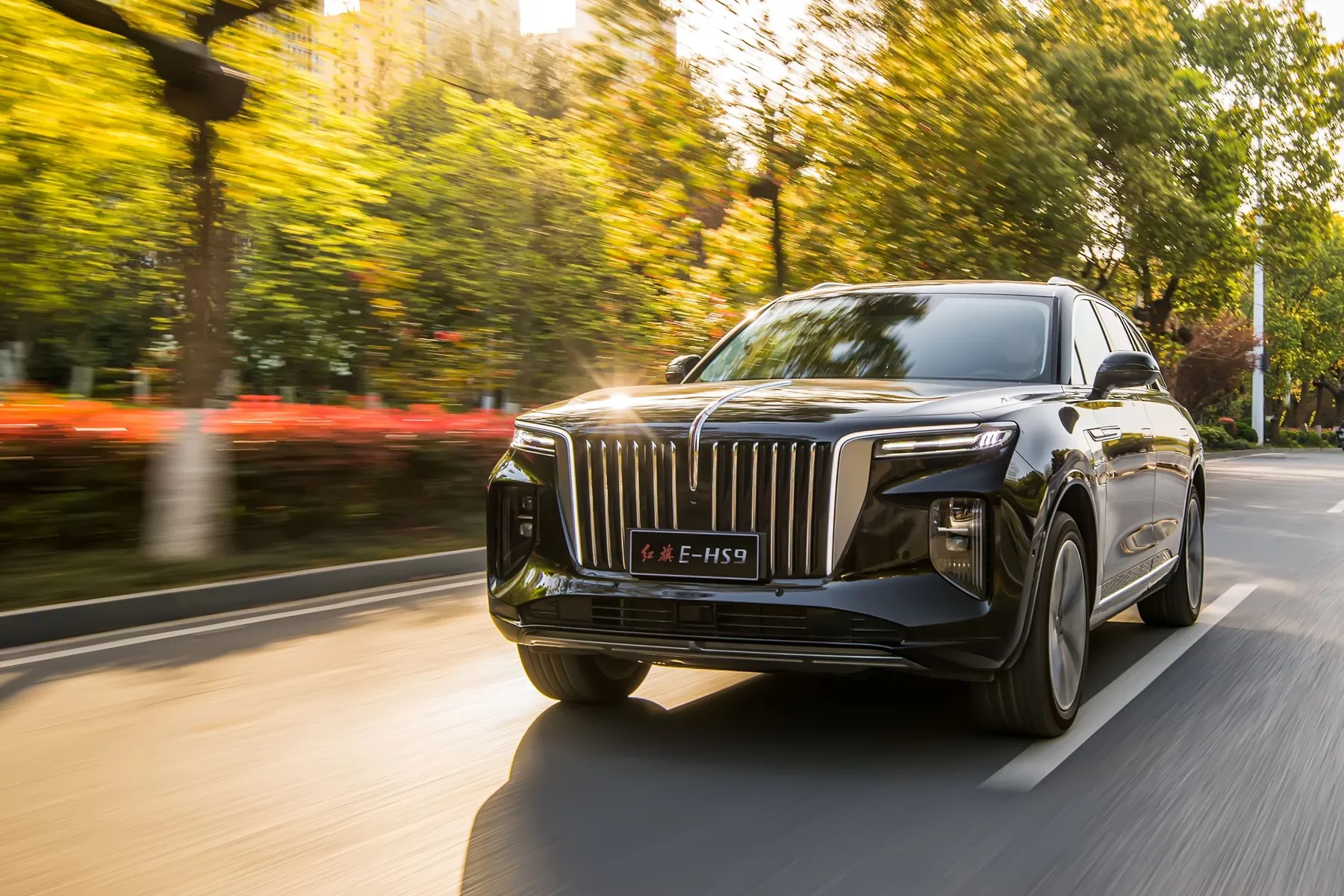 Hongqi HS9 Türkiye