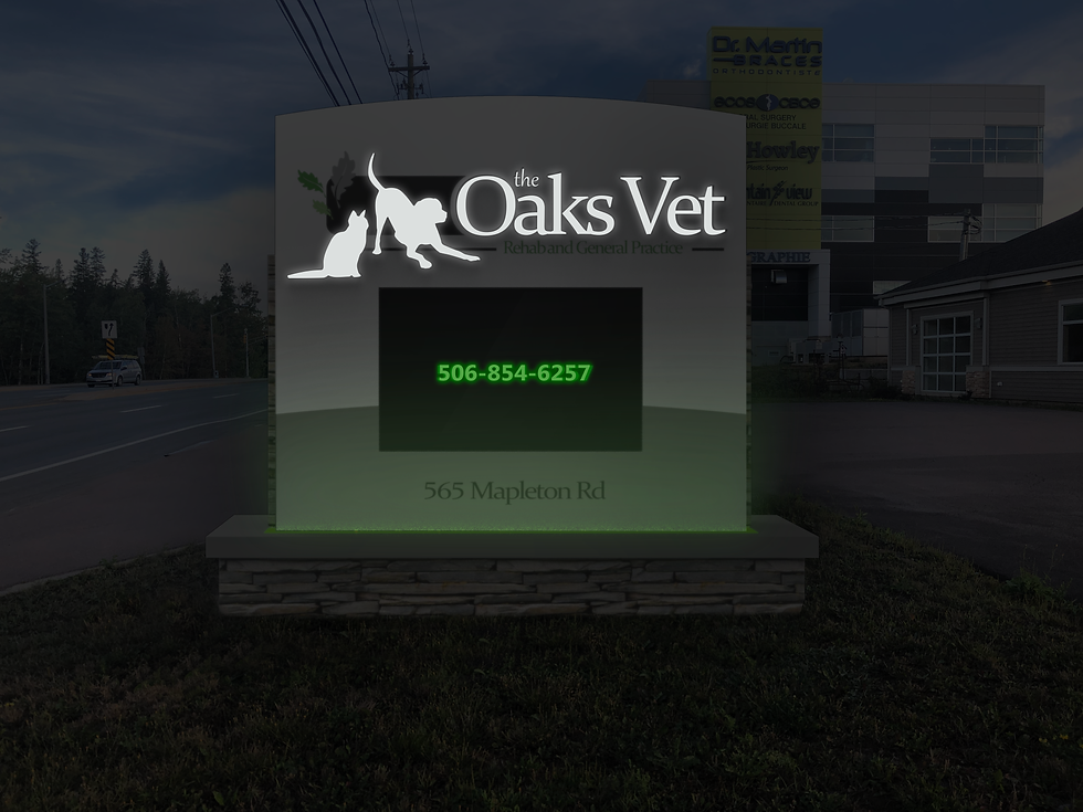 Oaks Vet monument sign night view