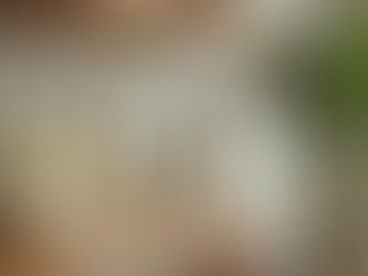 Eco-Friendly Cleaning Products: A Commitment to Health and Environment