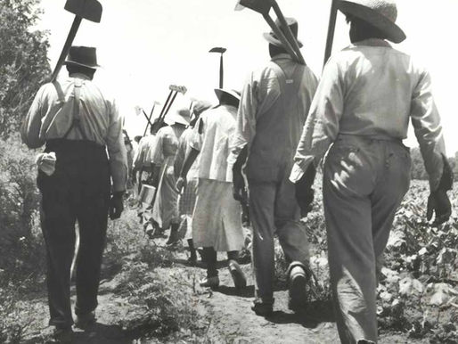 Spring Clean Up Morning (May 02)