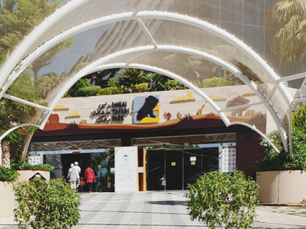 Dubai Safari Park reopens it’s doors on October 2020