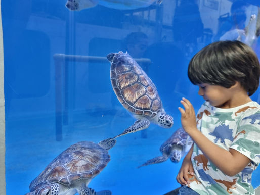 Visit to Abu Dhabi Aquarium