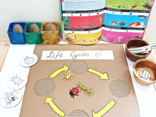 Homeschooling during pandemic