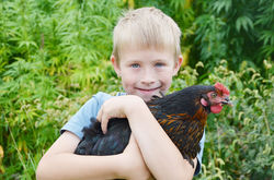 Lukas mit einem unserer Hühner