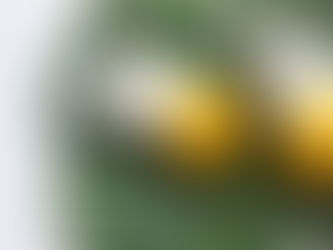 In Review: Pattern Beauty