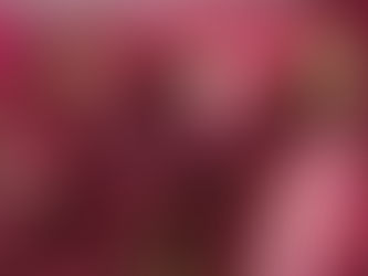 New In: Mielle OG Pomegranate & Honey Collection