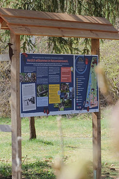 P12330541.JPG