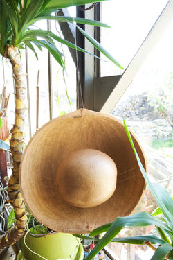 abdellatif-moustad-musicalite-first-sound-01