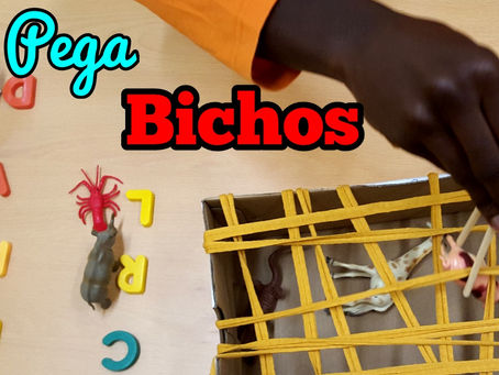 PEGA BICHOS