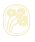 png_studio_frame_01.png