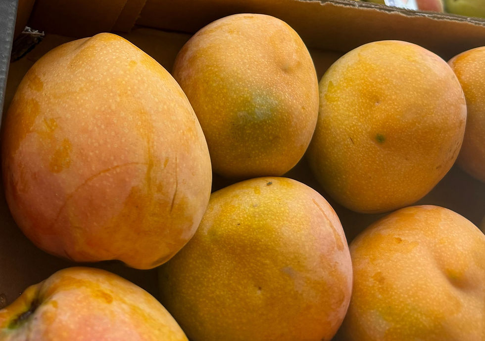 🥭 🥭 מה הקשר בין עץ מנגו קטן                  סבתא שלי מעדן – ובריאות טבעית בקיץ?