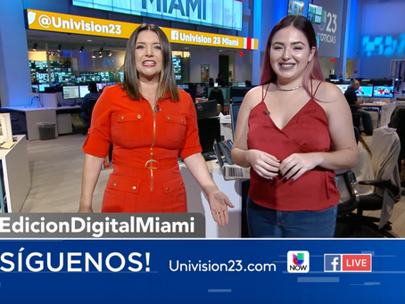 The Little Lighthouse Foundation on Univision 23