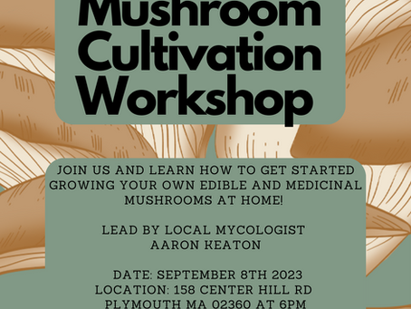 Upcoming Mushroom Cultivation Workshop! 