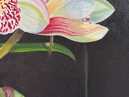 Orchids One