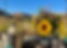 IMG_0391.jpeg