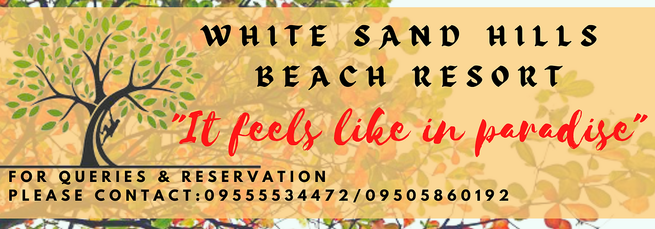 WS FB COVER.png