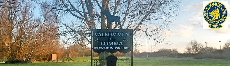 Revanschen i Lomma 2026