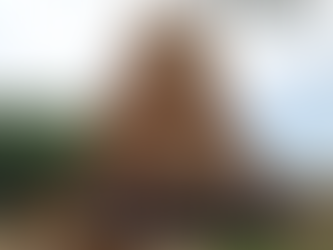 อาสาเก็บขยะเมืองเก่า กับเรื่องเล่าอยุธยาที่ไม่รู้จัก จ.อยุธยา รุ่น 4