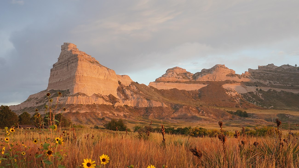 Scotts Bluff, a mountain with rocky edges and containing many different shades of brown and tan. A field of tall grasses and sunflowers are in front of the bluff.