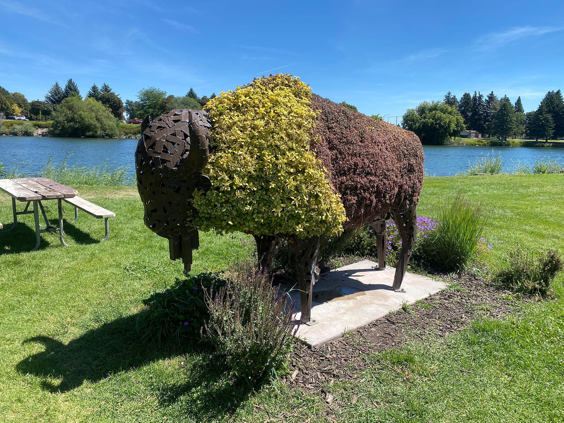 A life-size buffalo made of metal with native plants growing out of it sits along the River Walk in Idaho Falls
