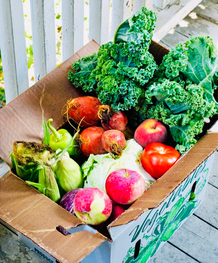 Big box of veggies from a CSA, Community Supported Agriculture