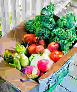 Big box of veggies from a CSA, Community Supported Agriculture