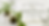 Kokedama Workshop