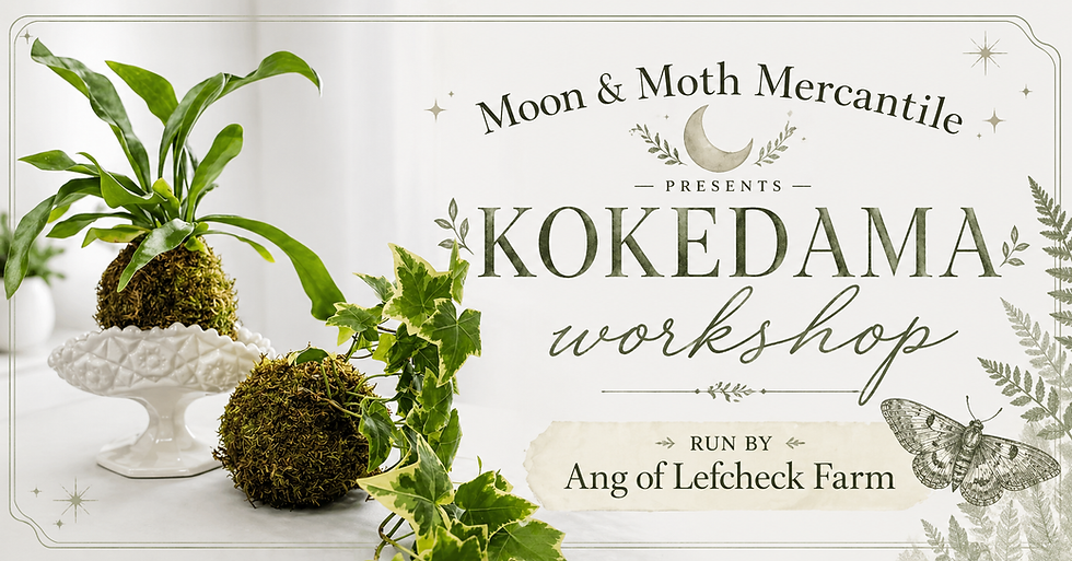 Kokedama Workshop