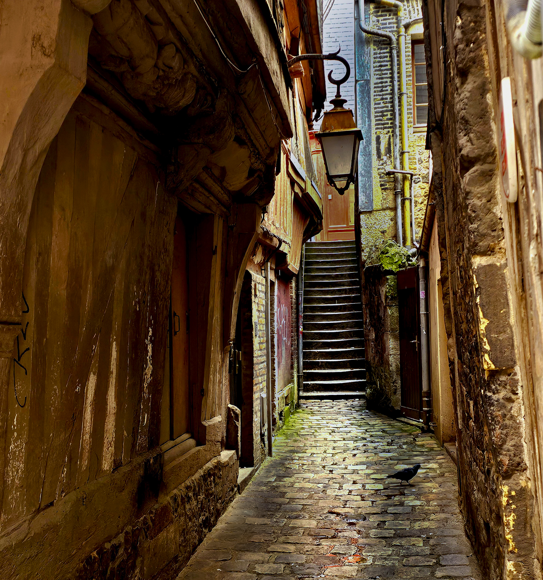 Woman with artichoke.jpg