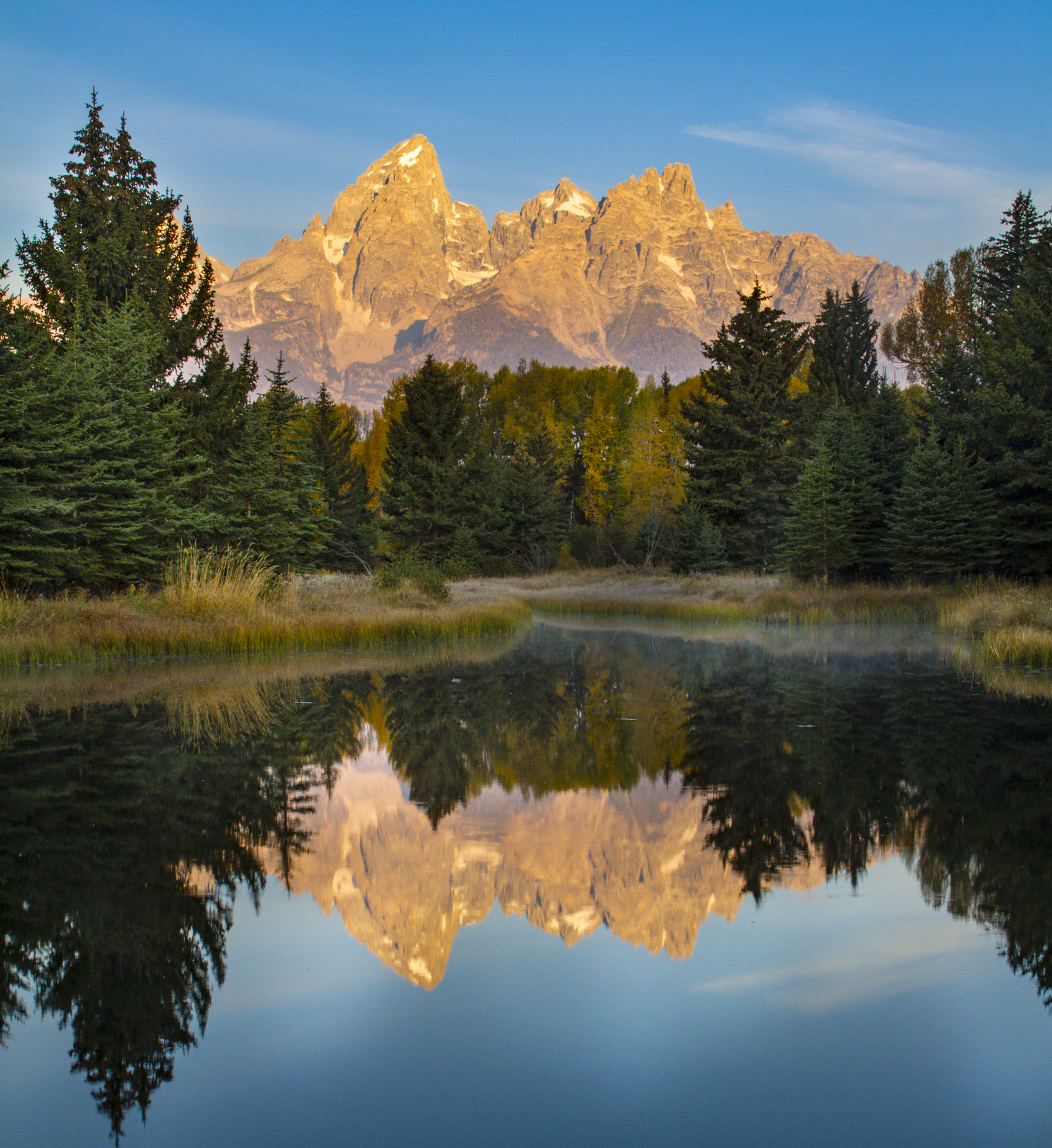 Woman with artichoke.jpg