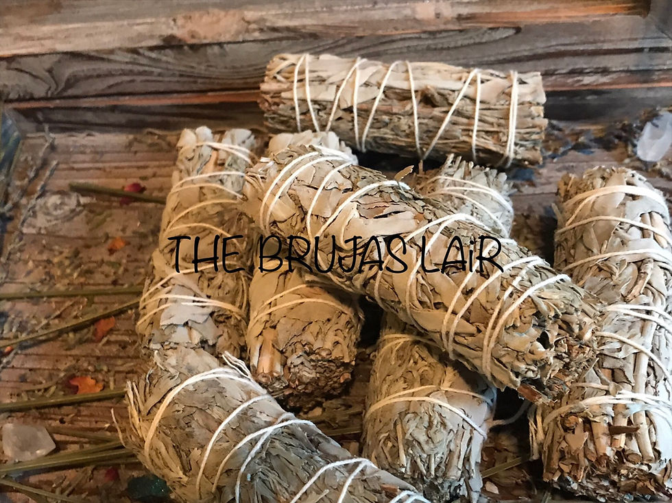 Thumbnail: California Sage & Blue Sage 