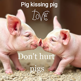 cute pink pigs in love with each other looking at each other_edited_edited.jpg