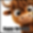 Thumbnail: COW BIRTHDAY CARD