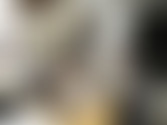 CSRD 2.0: Suddenly out of scope? Here’s what you still need to think about. 