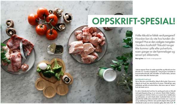 Skjermbilde 2025-12-05 kl. 10.38.26.png