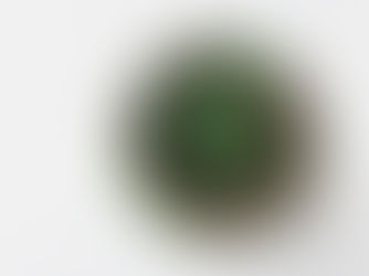 Aula sobre fotossíntese