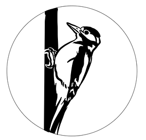 Badge Specht Rhythmik Badge