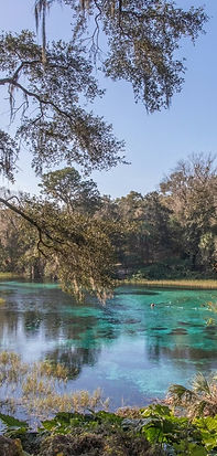 randall river_edited.jpg