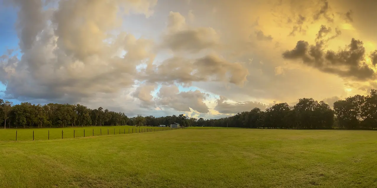 grass pasture.jpg