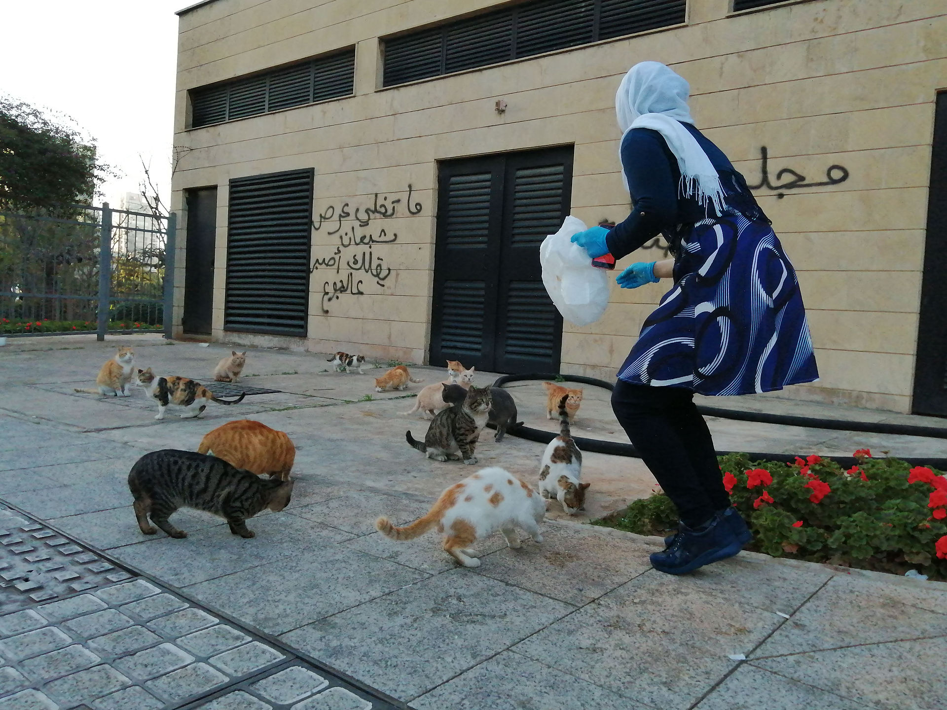 Cat woman