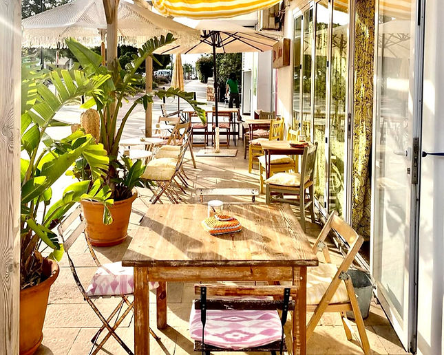 Captura de Pantalla 2026-02-11 a les 16_edited.jpg