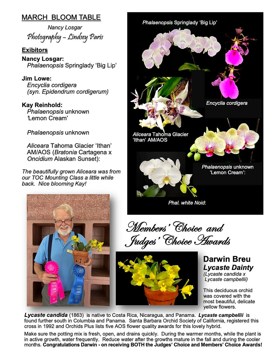 The March bloom table from the Tampa Orchid Club meeting