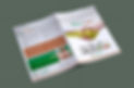 WhatsApp Image 2024-12-02 at 3.07.48 PM (3).jpeg
